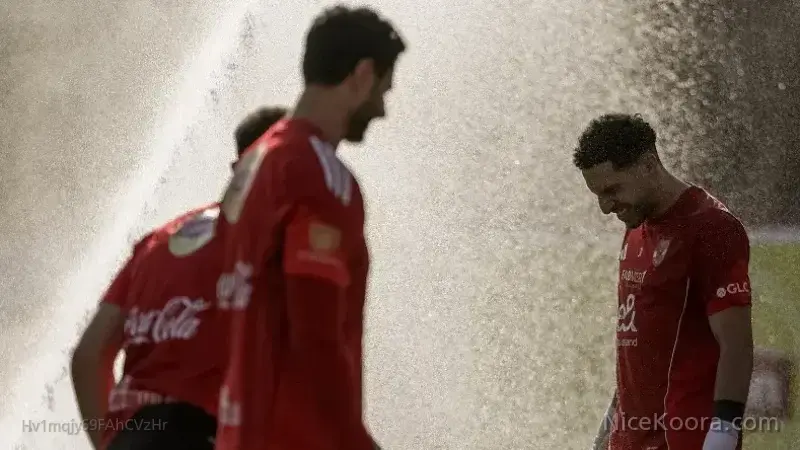 قائمة مصر في المونديال .. حسام حسن يحسم اختياراته بين الشناوي وشوبير مع حسم الموقف من الحارس الثالث “خاص”