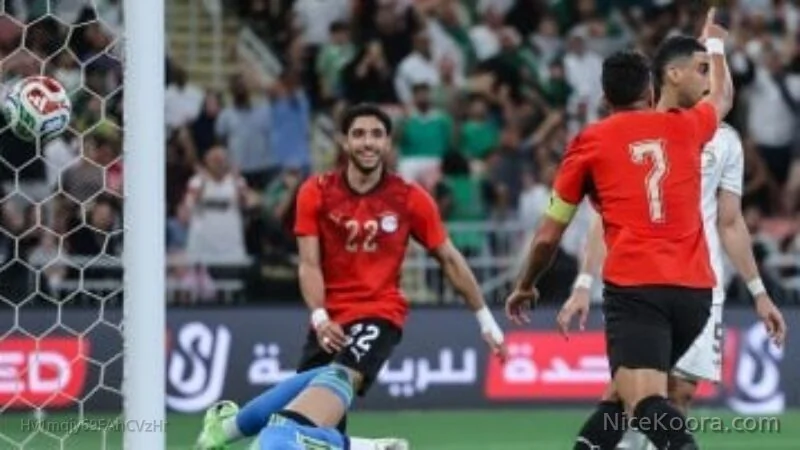 مصر تنال 625 مليون جنيه من مكاسب كأس العالم 2026.. التفاصيل الكاملة