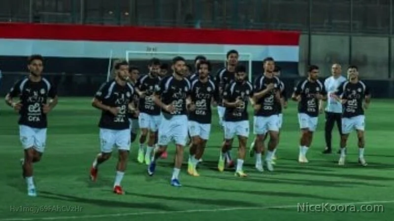مواجهة مصر والبرازيل الودية قبل مونديال 2026.. الموعد الكامل