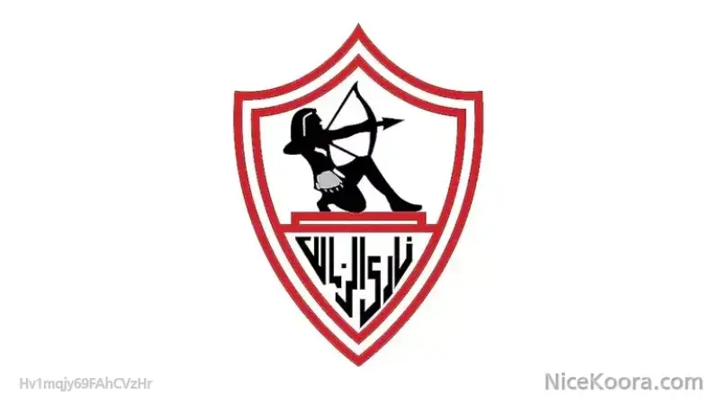للمرة الـ17.. فيفا يعلن إيقاف قيد الزمالك رسميًا