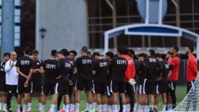 كيفية ضبط تردد قناة beIN Sports المفتوحة لمتابعة مباراة مصر وأستراليا